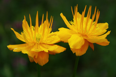 Similar image 8320800