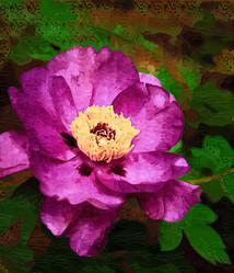 Similar image 8320841