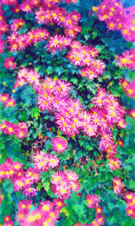 Similar image 8320888