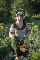 Similar image 8321022