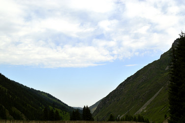 Similar image 8321083