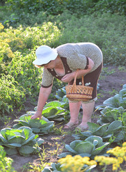 Similar image 8321116