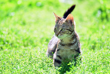 Similar image 8321122