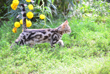 Similar image 8321123