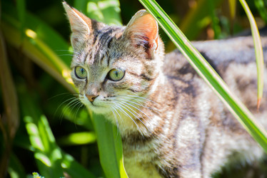 Similar image 8321124