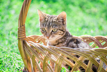 Similar image 8321125