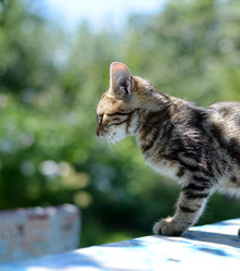 Similar image 8321144