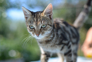 Similar image 8321146