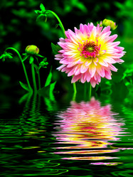 Similar image 8321394