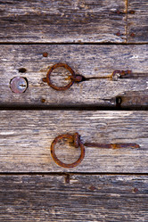 Similar image 8321408