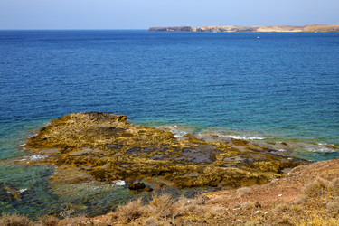 Similar image 8321411