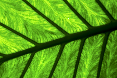 Similar image 8321416