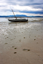 Similar image 8321438