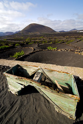 Similar image 8321440