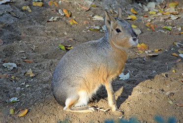 Similar image 8321446