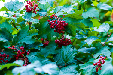 Similar image 8321466