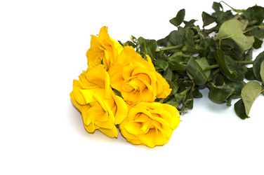 Similar image 8321493