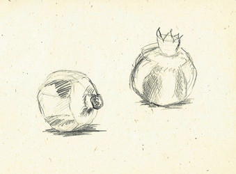 Similar image 8321508