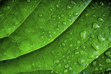 Similar image 8321534