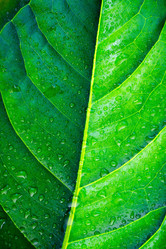 Similar image 8321535