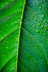 Similar image 8321537