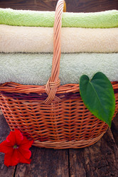 Similar image 8321544