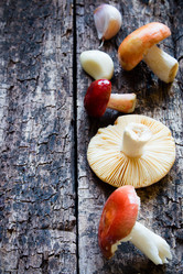 Similar image 8321565