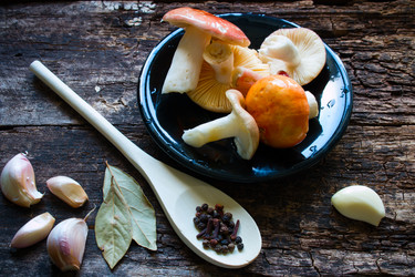 Similar image 8321572