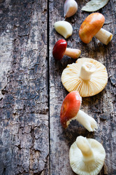 Similar image 8321573