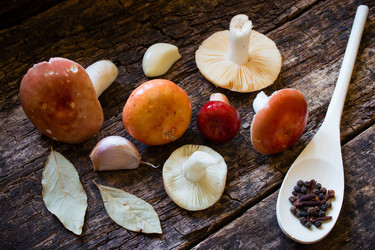 Similar image 8321574