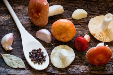 Similar image 8321582