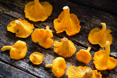 Similar image 8321591