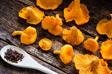 Similar image 8321592