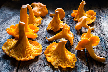 Similar image 8321603