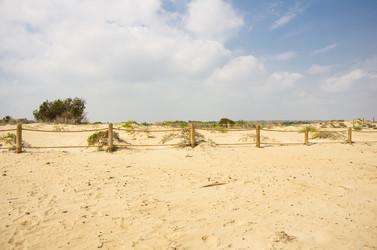 Similar image 8321616