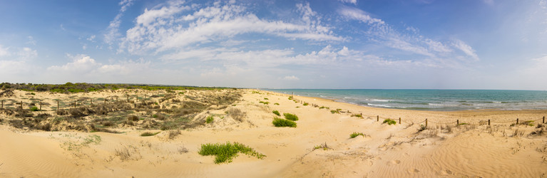 Similar image 8321618