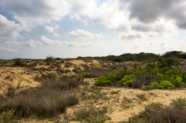 Similar image 8321619