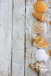 Similar image 8321629