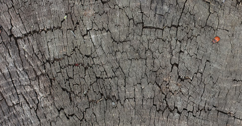 Similar image 8321630