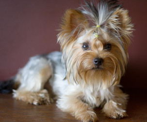 Similar image 8321637