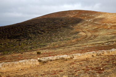 Similar image 8321661