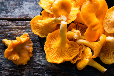 Similar image 8321680