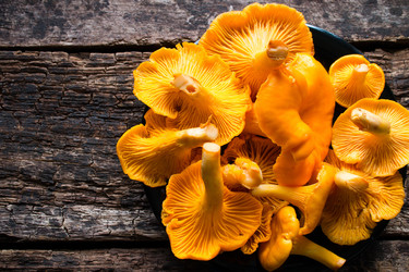 Similar image 8321681