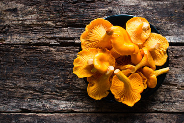 Similar image 8321682