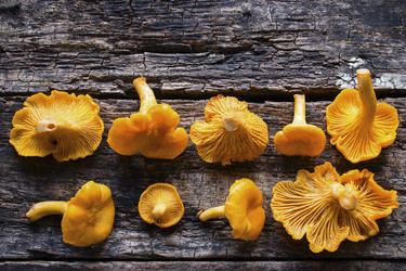 Similar image 8321683