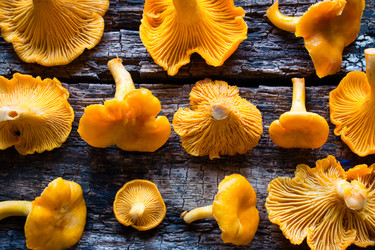 Similar image 8321684