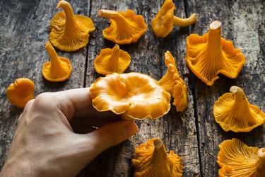 Similar image 8321688