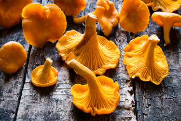 Similar image 8321689