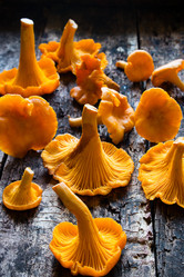 Similar image 8321691