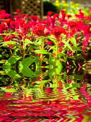 Similar image 8321704